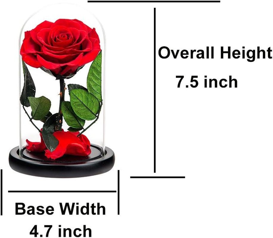 Preserved Roses Red Roses in Glass Dome, Medium, Preserved Flowers for Women