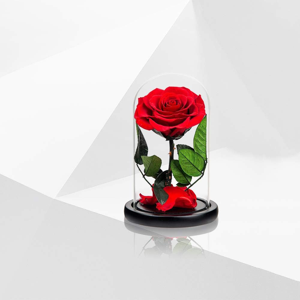 Preserved Roses Red Roses in Glass Dome, Medium, Preserved Flowers for Women