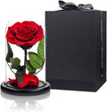 Preserved Roses Red Roses in Glass Dome, Medium, Preserved Flowers for Women