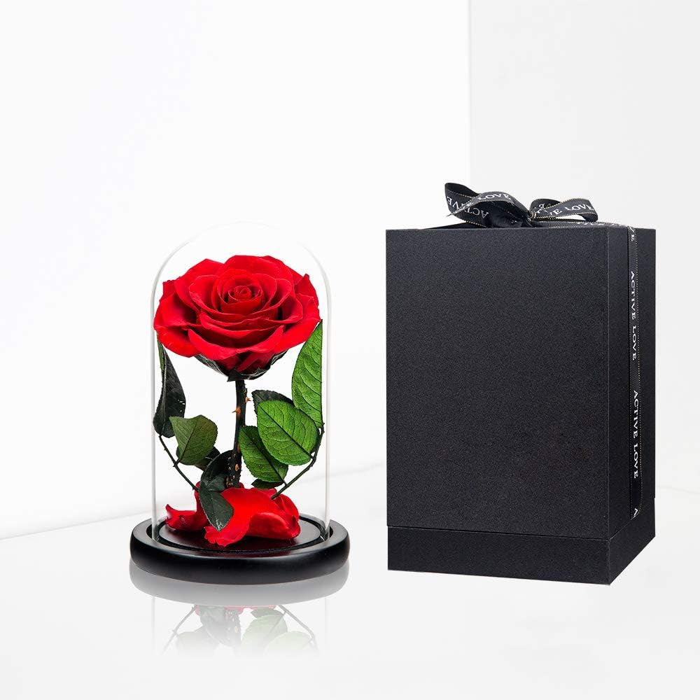 Preserved Roses Red Roses in Glass Dome, Medium, Preserved Flowers for Women